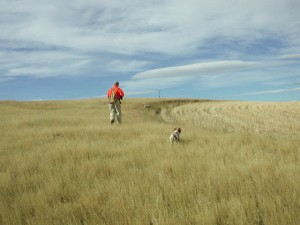 Montana Bird Cover